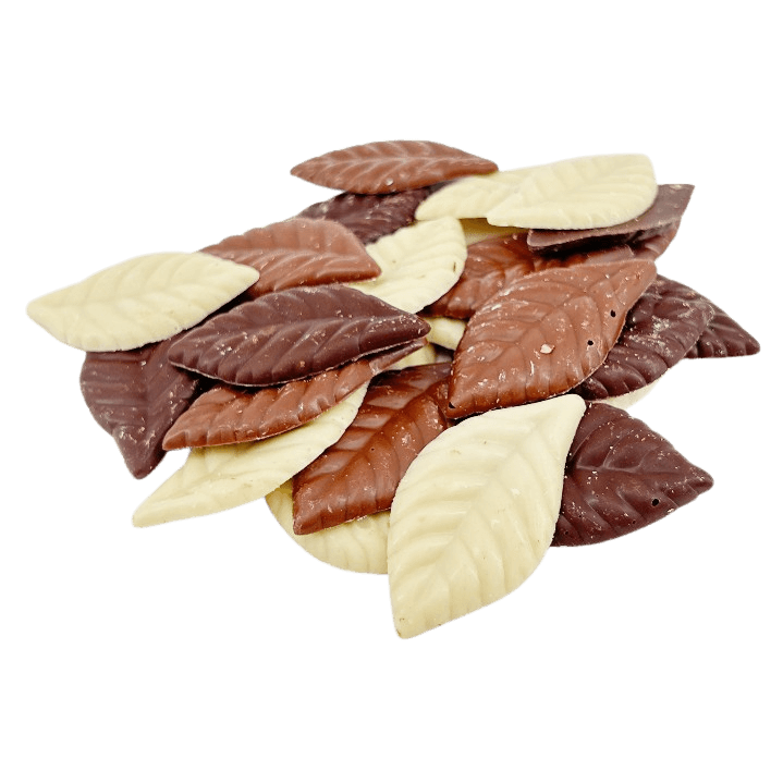 Mix of chocolate autumn leaves