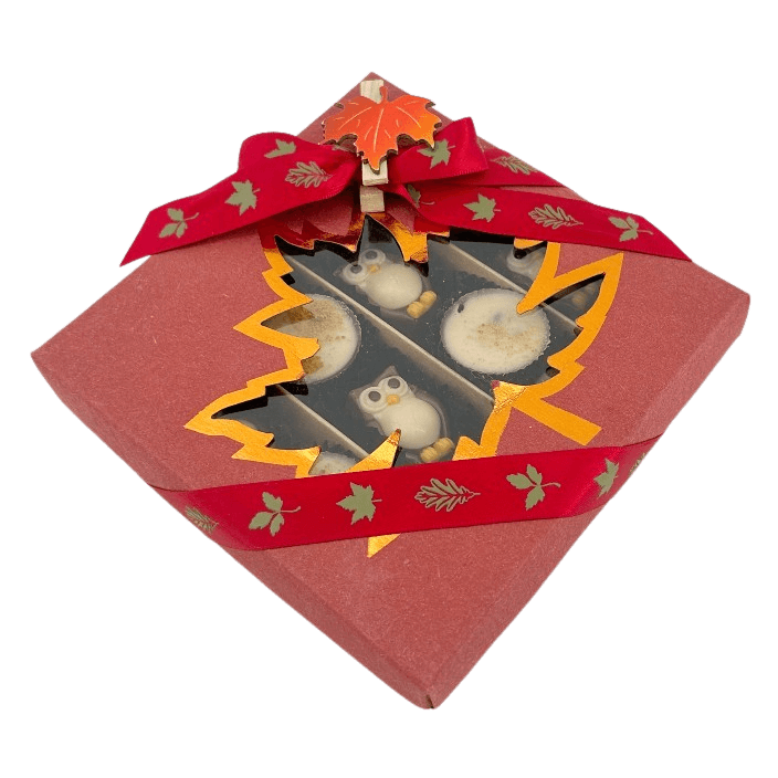 Mix of autumn pralines in a red gift box