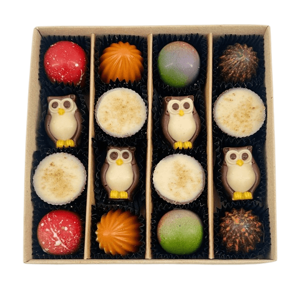 Mix of autumn pralines in a craft gift box