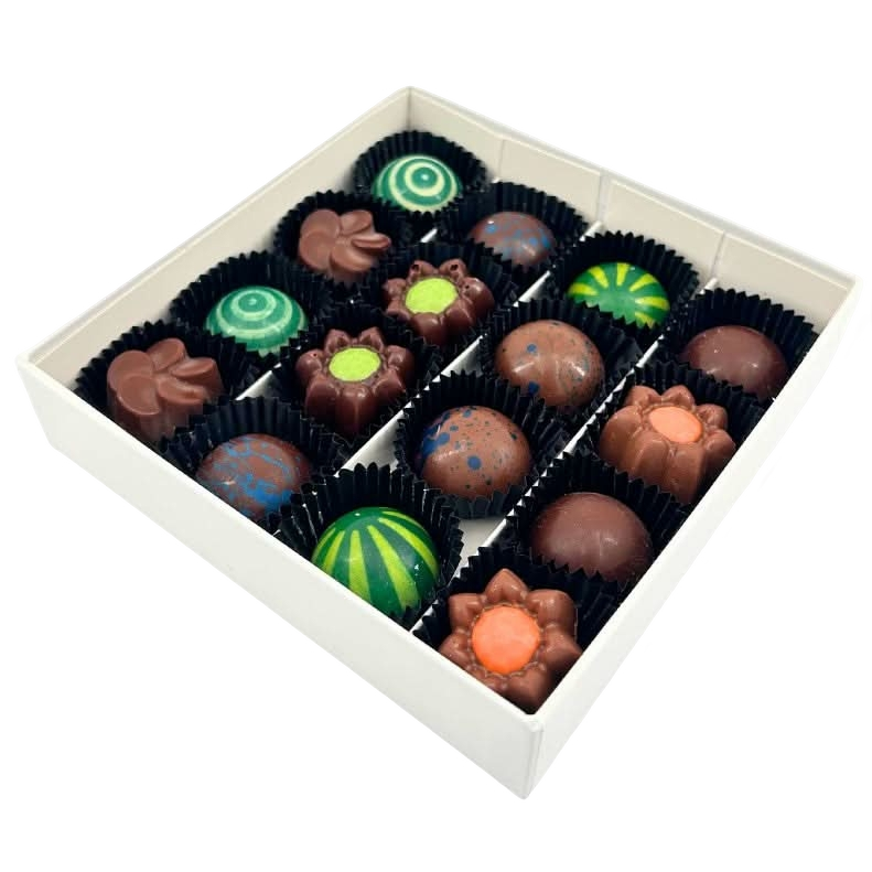 Tropical sea pralines box (mixed) 240 Grs