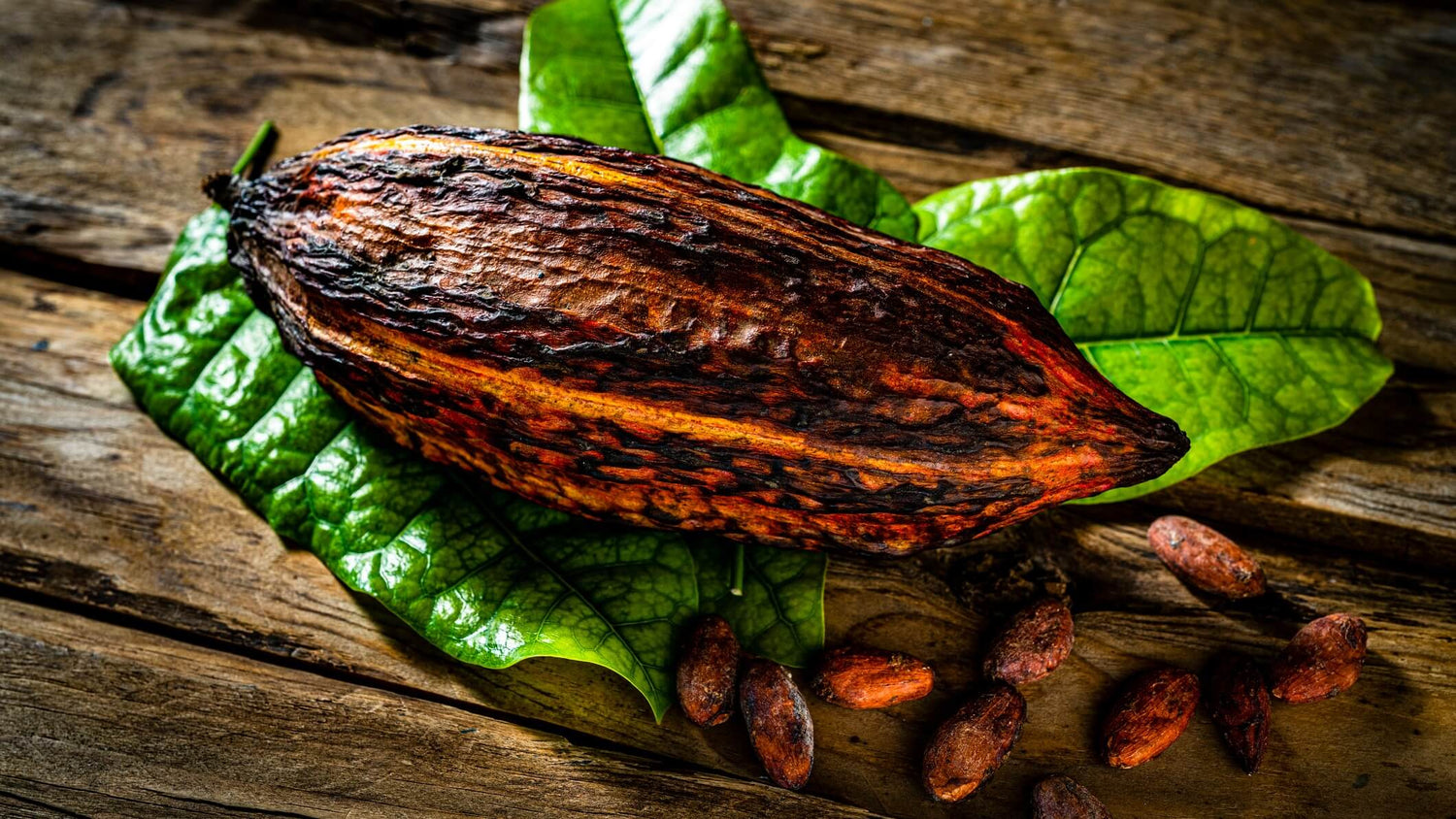 Bean to bar production