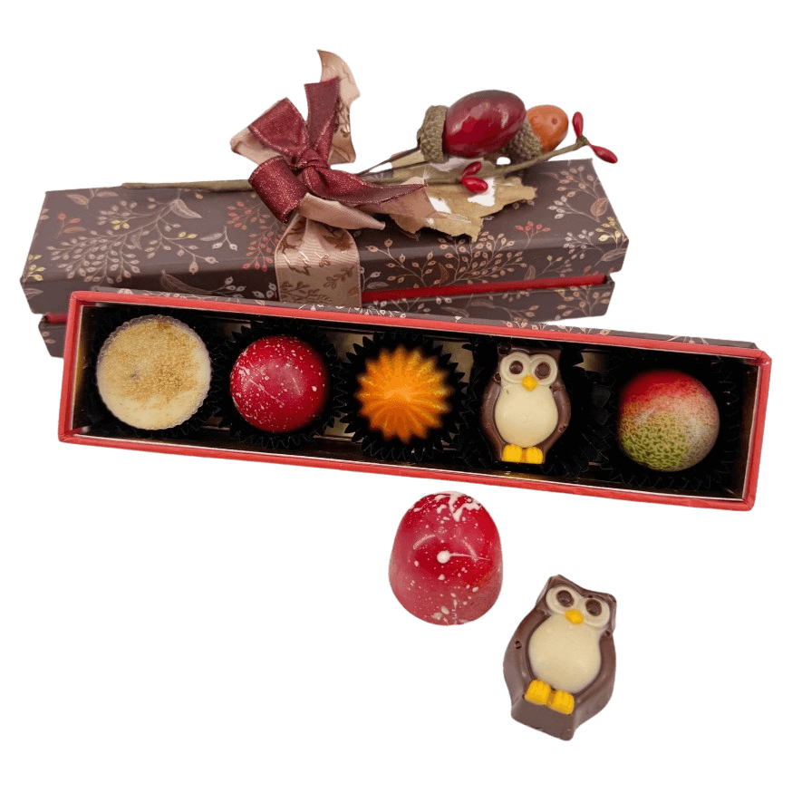 Autumn whispers pralines 65g