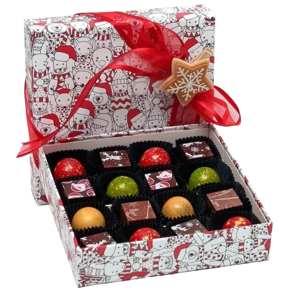 Christmas box 16 pralines 240g