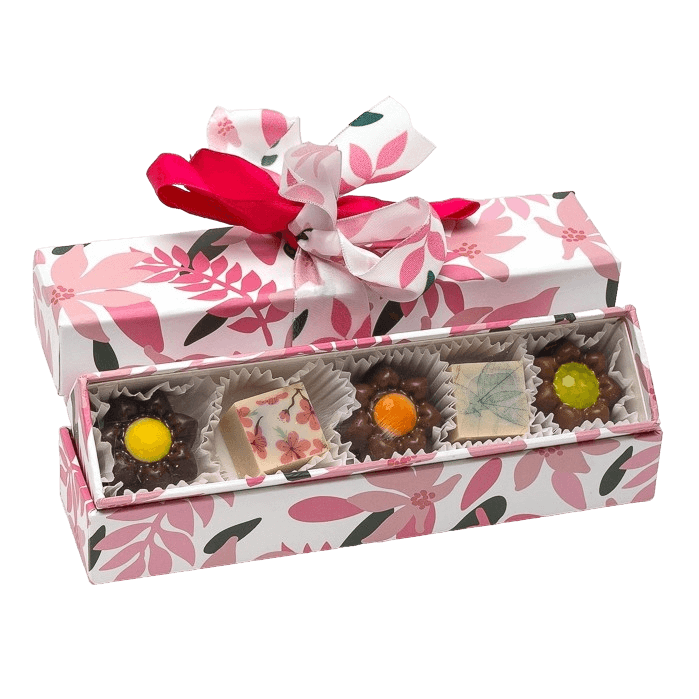 Spring box of 5 pralines 75g