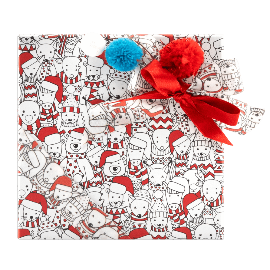 Christmas box 16 pralines 240g