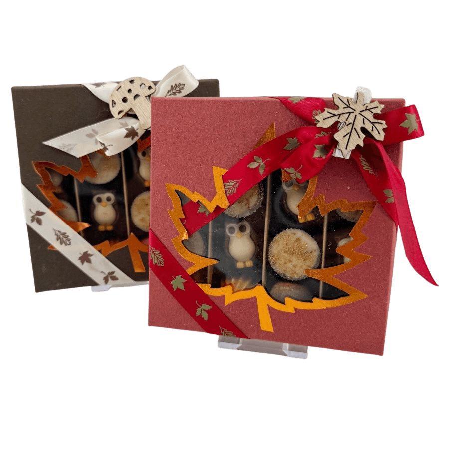 Autumn boxes of pralines