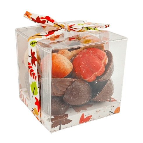 Autumn fruits in chocolate