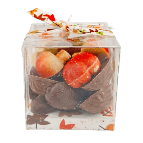 Autumn fruits in chocolate