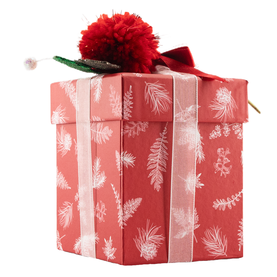 Christmas drawer box 12 pralines 180g