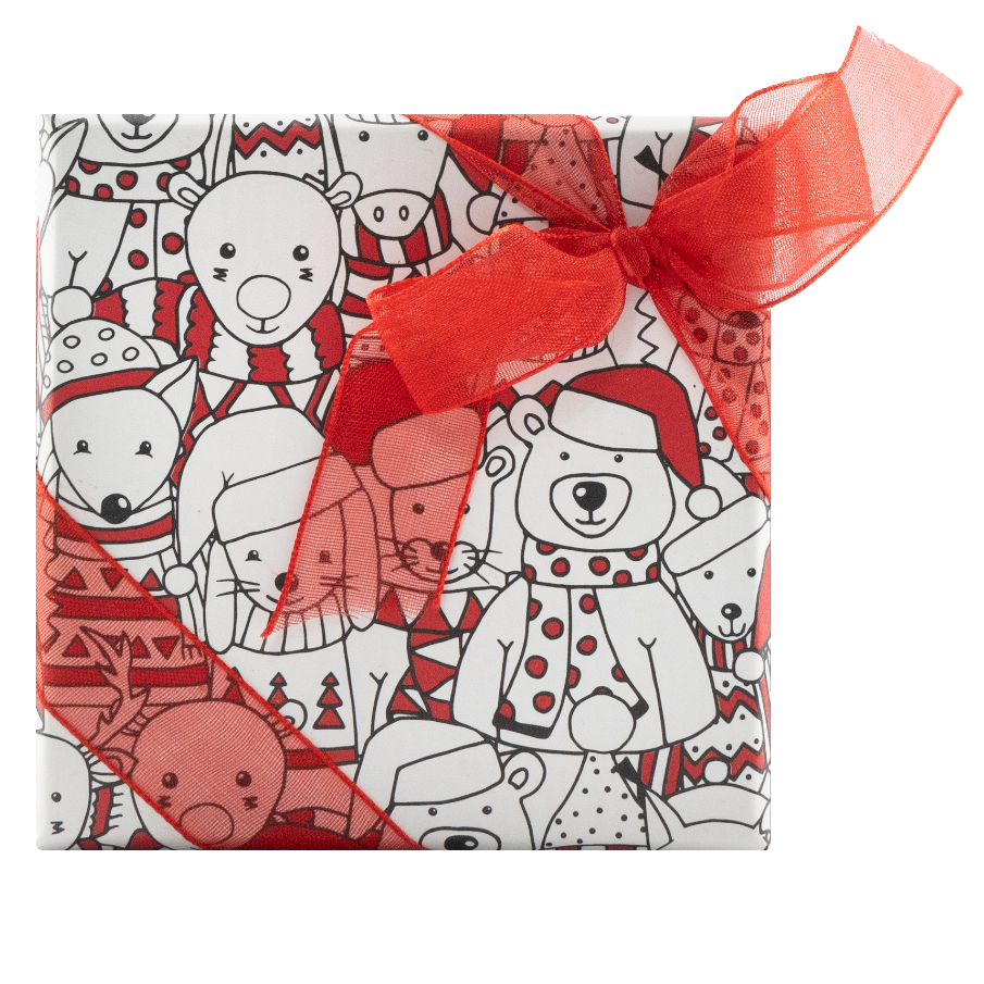 Christmas box 4 pralines 50g