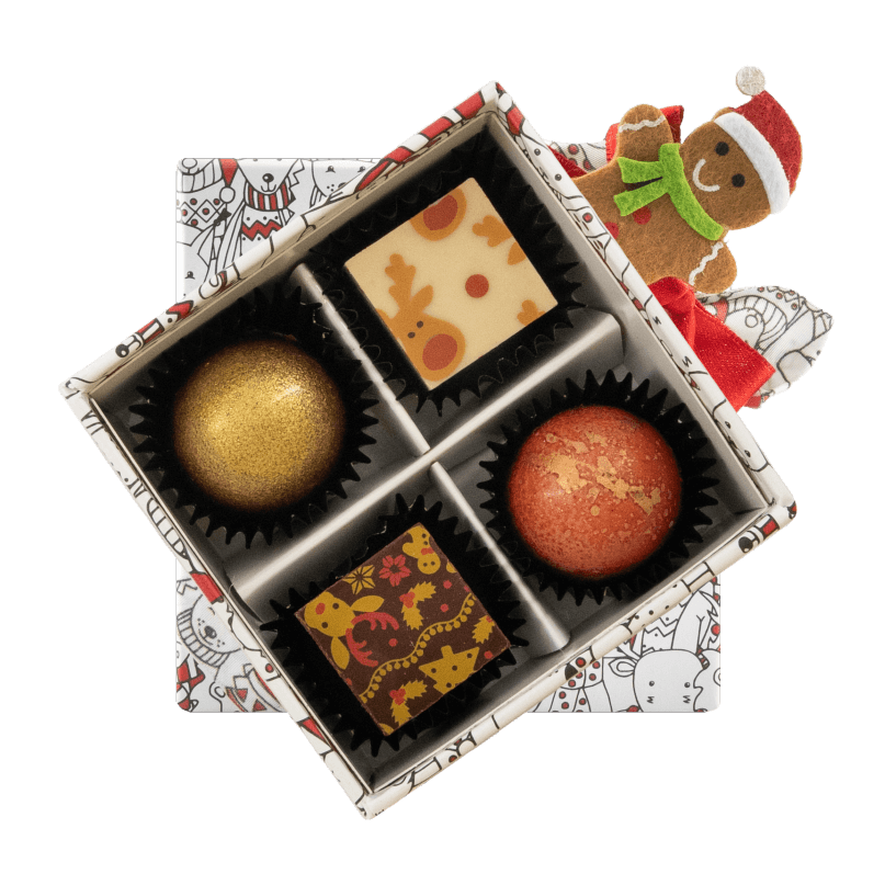 Christmas box 4 pralines 50g