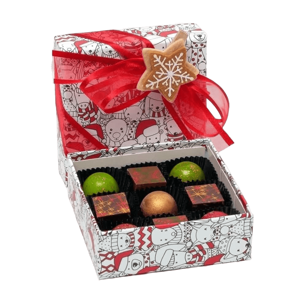 Christmas box 9 pralines 135g