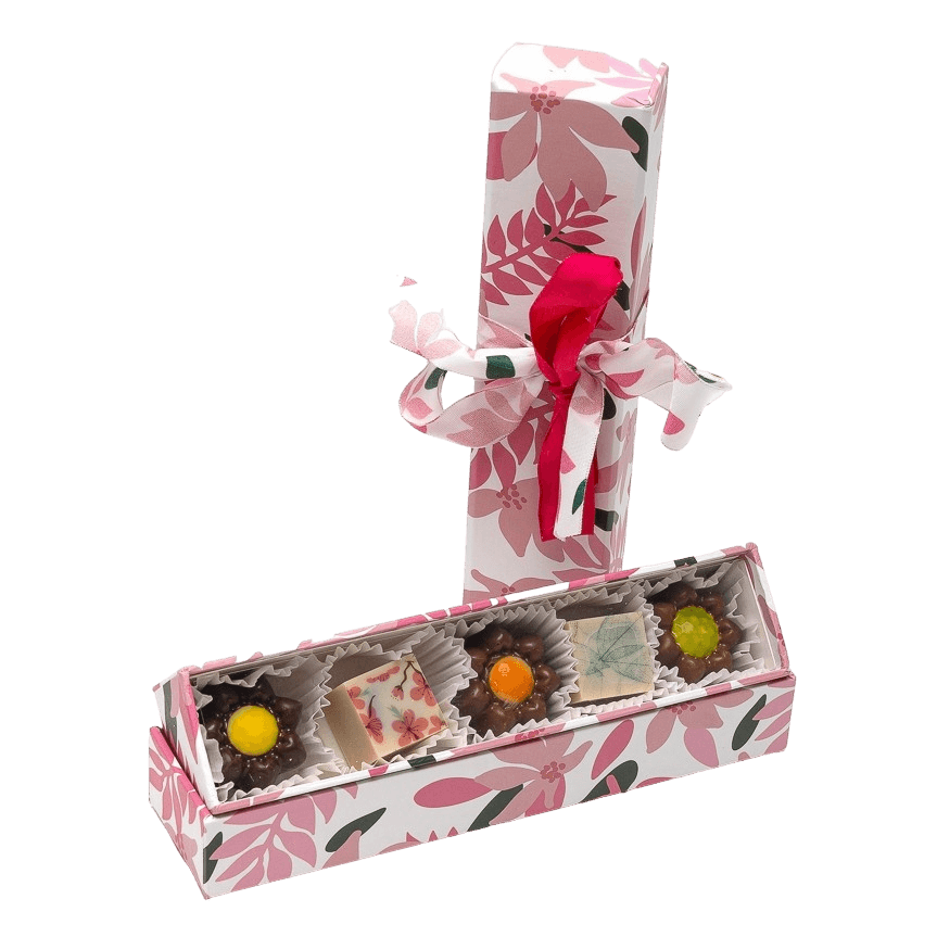 Spring box of 5 pralines 75g
