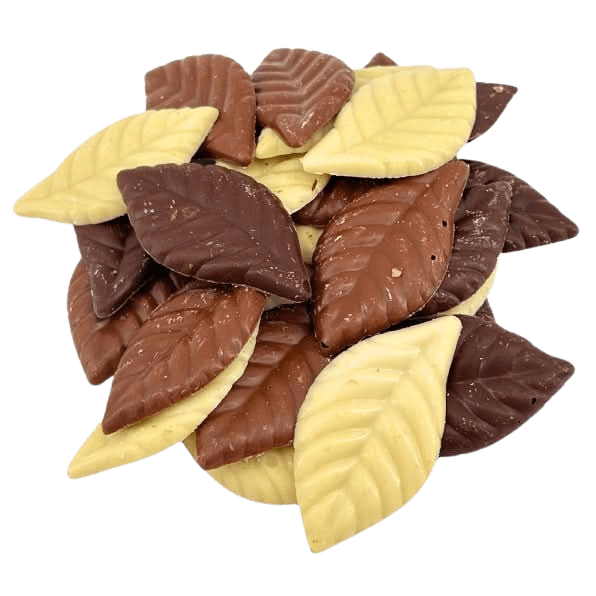 Mix of chocolate autumn leaves