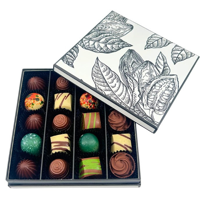 Prestige box of 20 chocolate pralines