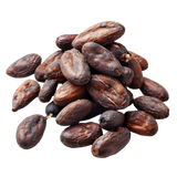 Bag of fresh cacao beans