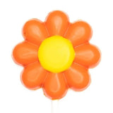 Lollipop flower 20 Grs orange