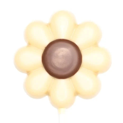 Lollipop flower 20 Grs white