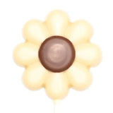 Lollipop flower 20 Grs white